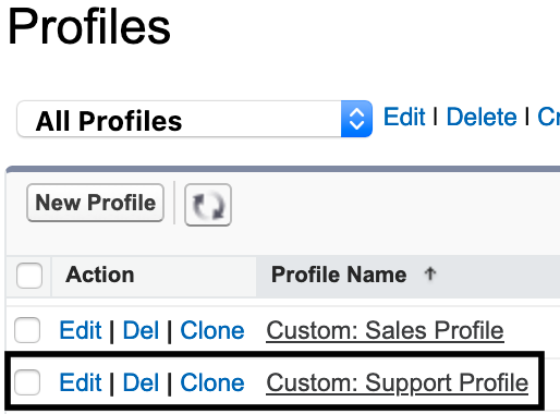Salesforce_Clone_User_Profile.png
