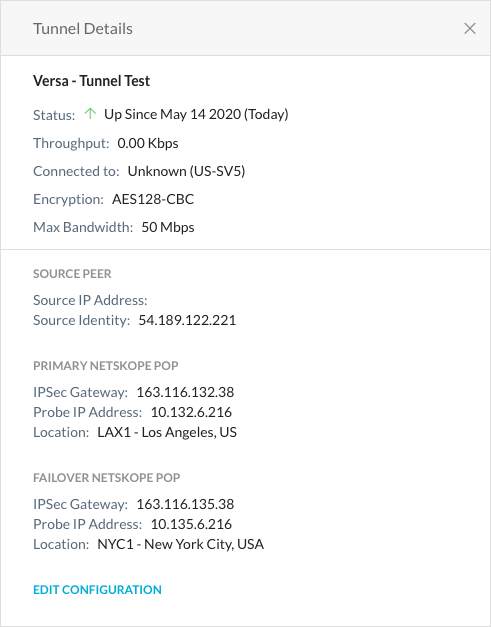 Netskope-IPSec-Tunnel-Details-Pane.png