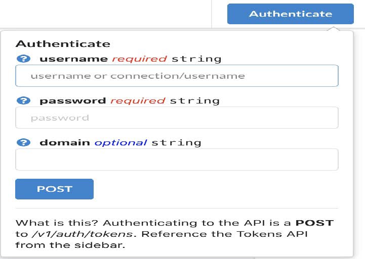 The API Authenticate window in CipherTrust Manager.